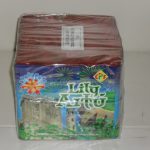 lily-artu-sdc12554