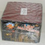 lily-madunia-sdc12551